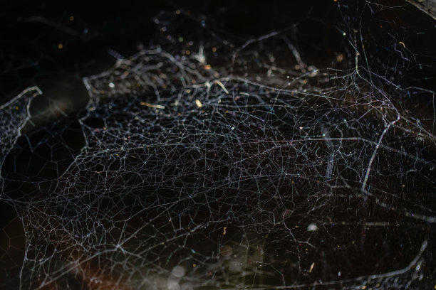 三角形恐怖蜘蛛网或蜘蛛网孤立在黑色背景，水平照片图片下载