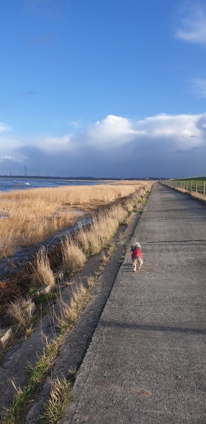 戴克步行图片下载