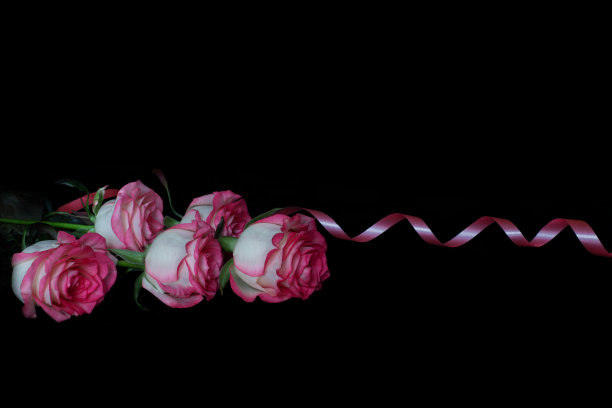孤立在黑色背景上的玫瑰。一束粉红色的玫瑰和粉红色的丝带。给你心爱的人的礼物。美丽的花束图片下载