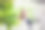 穿着黑夹克的小女孩站在春天的樱桃园里图片下载