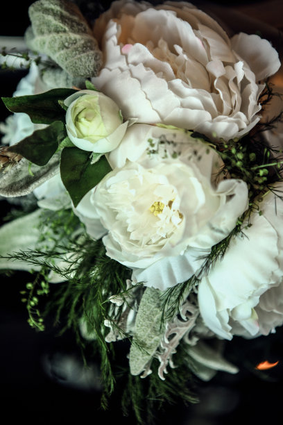 束牡丹图片下载