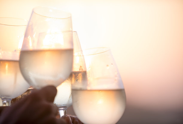 一群朋友在户外用白葡萄酒举杯畅饮。图片下载