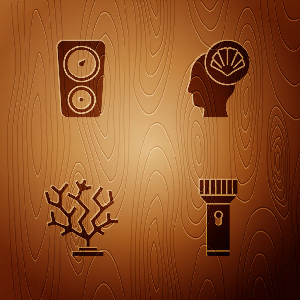 设置手电筒测量鳞片珊瑚和扇贝海图片下载