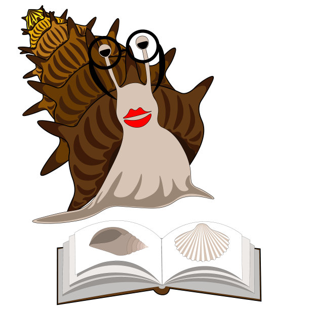 卡通蜗牛与相册。剪辑艺术,向量。图片下载