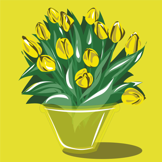 束美丽的郁金香图片下载