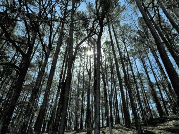 山羊岛的日出图片下载