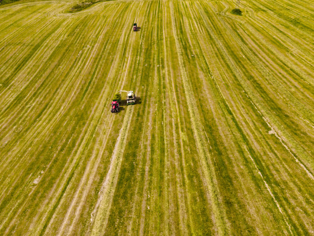 拖拉机割农地。鸟瞰图。培养领域。图片下载