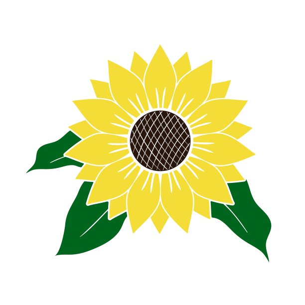 矢量插图的黄色向日葵与绿色叶子孤立在白色的背景。鲜艳的夏季插花架。美丽的向日葵剪影图标，花卉装饰，标志，打印。图片下载