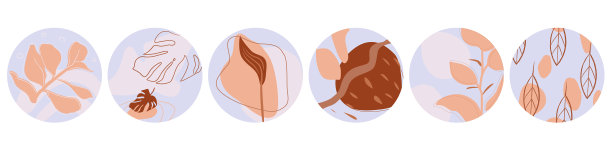 社交媒体花突出图标设置图片下载