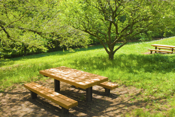 公园里的桌子和长凳图片下载