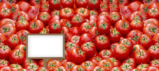 新鲜番茄的背景。图片下载