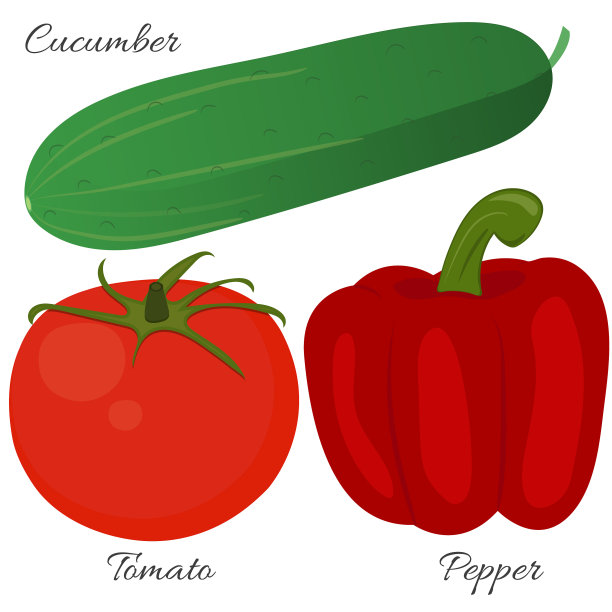 蔬菜，黄瓜，番茄图片下载