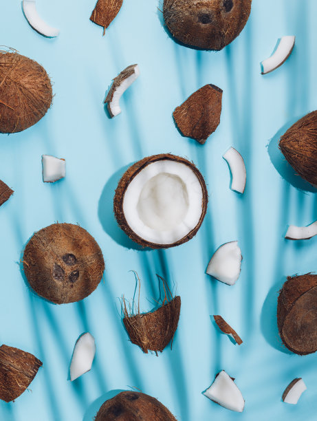 椰子图案与块在柔和的蓝色背景。创意的热带夏季纹理概念。生食或素食异域美食的横幅。平躺，俯视图。图片下载