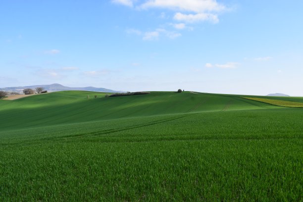 绿油油的山丘上有农田图片下载
