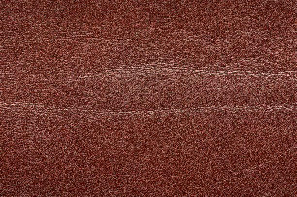 结构为褐色皮肤纹理图片下载