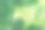 在森林和河流旁边的乡村地区的夏季农舍景观。空中无人机的照片图片下载