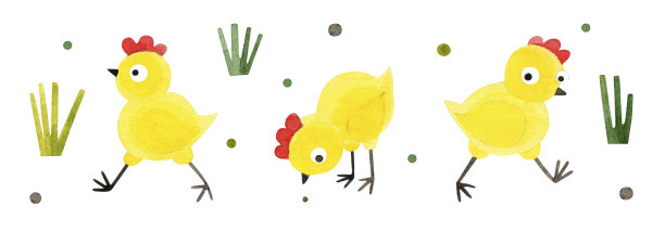 草里可爱的黄色小鸡。在白色背景上手绘水彩插图。一套设计元素的网站，明信片，包装，纺织品，印刷品，横幅，商店。图片下载