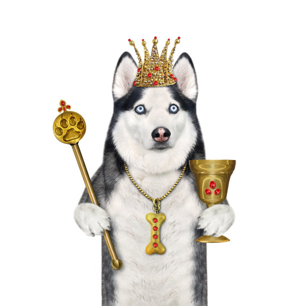 狗哈士奇与权杖和高脚杯图片下载