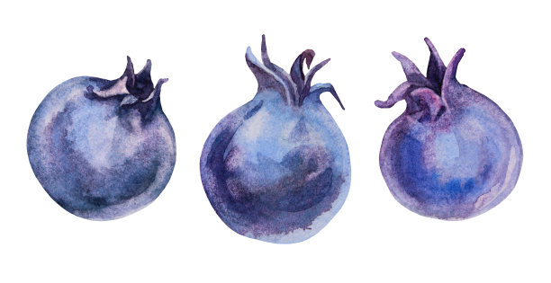 设置水彩蓝莓夏季甜食孤立在白色背景。水彩画手绘创意新鲜浆果对象菜单，卡片，纺织品，贴纸，墙纸，包装图片下载