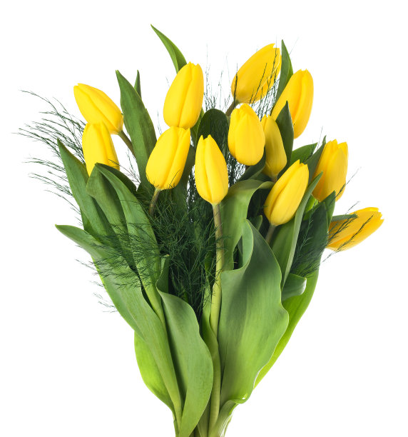 黄色的郁金香花串图片下载
