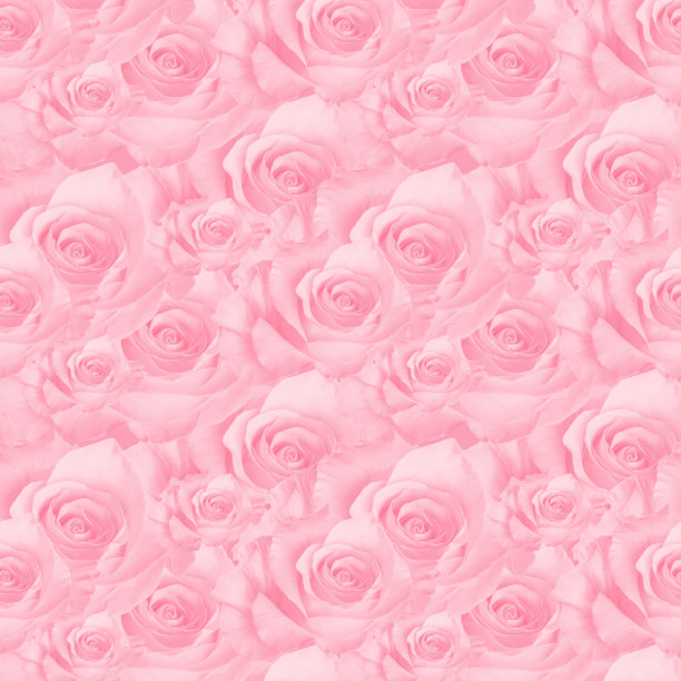 花朵玫瑰时髦的淡粉色颜色图片下载