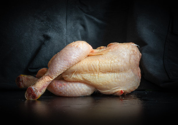 鲜鸡在黑色背景前摆姿势图片下载