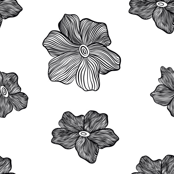 手绘风格化图形花黑白无缝图案。图片下载