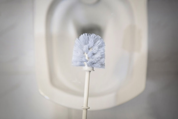 用塑料刷清洁白色马桶。整洁有序的家居理念。图片下载