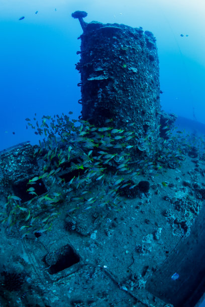 海虎残骸图片下载