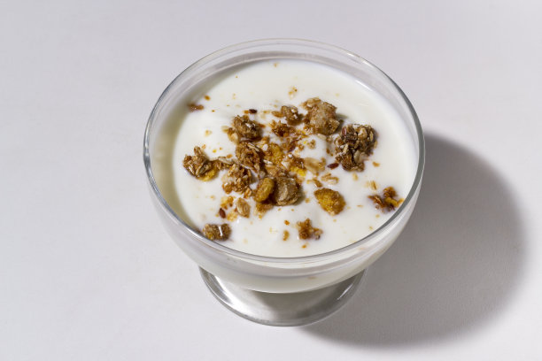 自制燕麦格兰诺拉麦片和酸奶在碗里图片下载