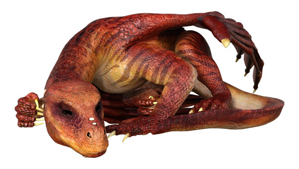 3D插图幻想龙在白色图片下载
