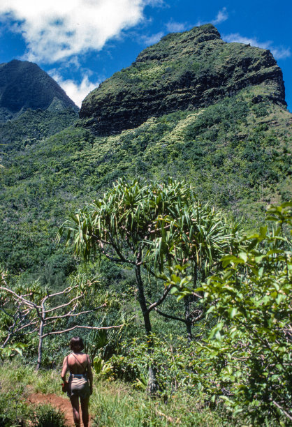 考艾岛纳帕里海岸-进入空旷地带- 1984年图片下载