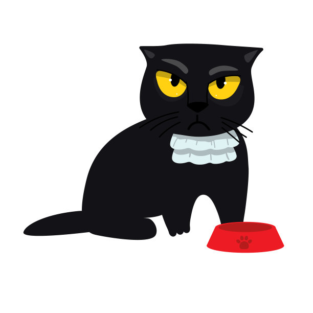 饥饿的黑猫想吃东西图片下载