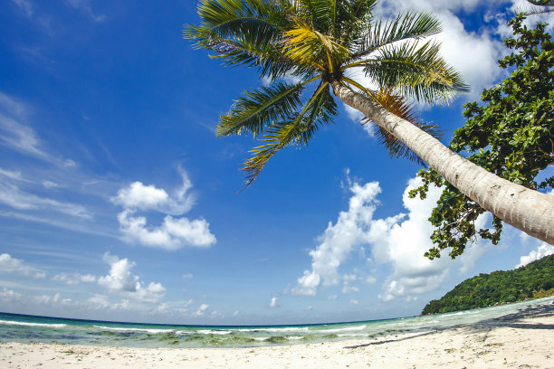 用于富国岛。越南的Sao热带海滩。图片下载