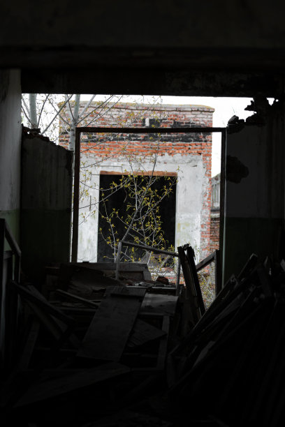 这是一个废弃的旧工业建筑中木头碎片、木板和窗框的垂直照片，背景是一棵年轻的树和第二个工业建筑。高质量的图片下载