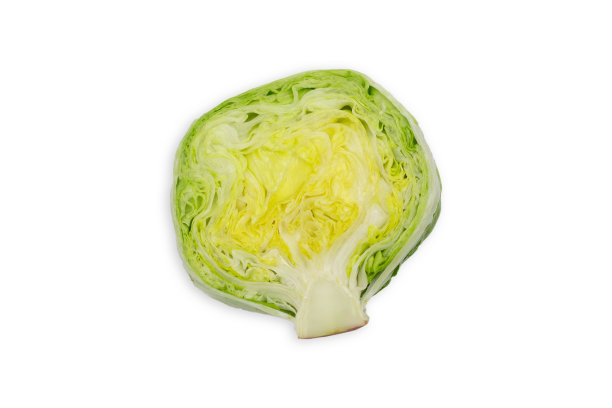 新鲜的切成一半的卷心莴苣孤立在白色图片下载
