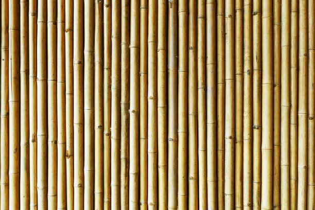 竹枝褐纹。天然木质植物管道背景。图片下载