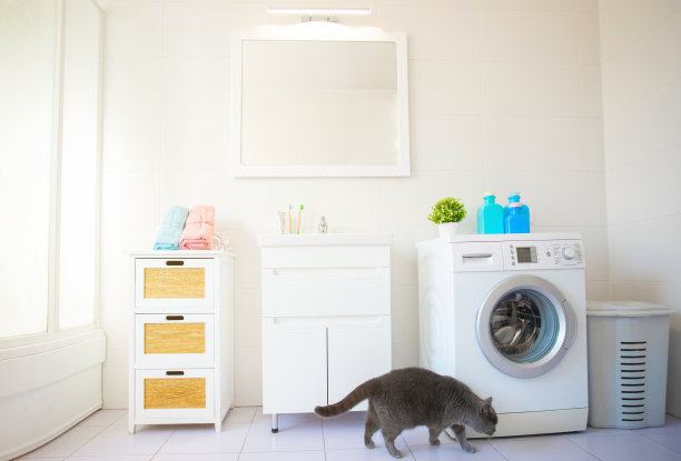 ↑↑↑↑↑↑↑↑↑↑↑↑↑↑↑↑↑↑↑↑↑↑↑↑↑↑↑↑↑↑↑↑↑图片下载