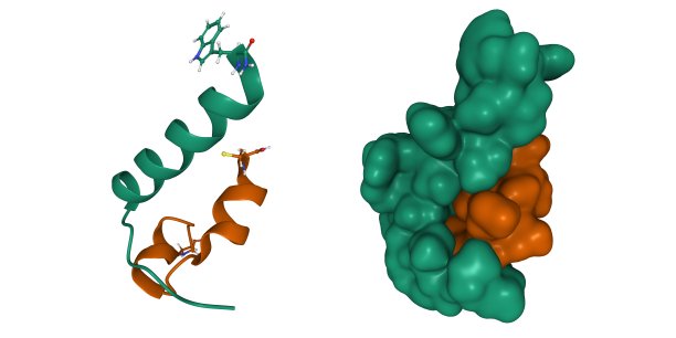 人胰岛素样肽-5同源二聚体的结构图片下载