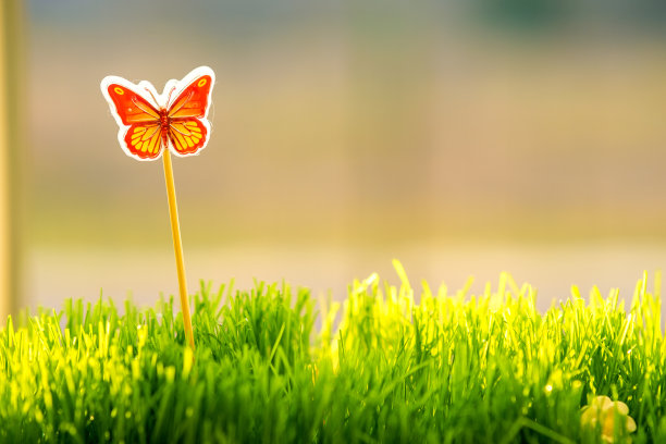 近处的小绿草带着特别可爱的小蝴蝶玩具。美丽植物与装饰的概念。图片下载