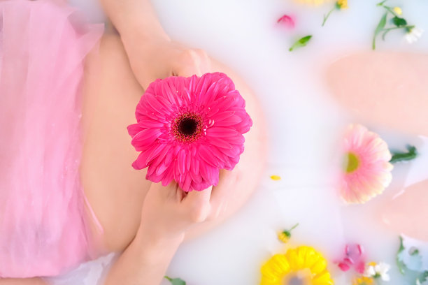 红色非洲菊花在一个孕妇的腹部在洗澡与水图片下载