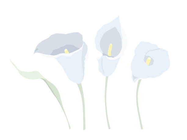 向量集蓝色马蹄莲。图片下载