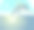 跳海豚海日落自然景观图片下载