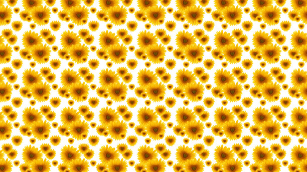 图案花向日葵心形白色背景图片下载