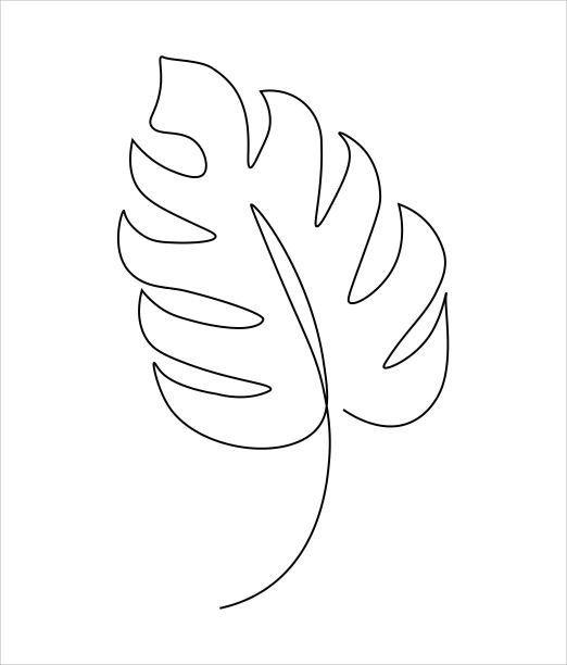 Monstera叶子用一条线画。叶子的连续轮廓线。现代抽象简约设计。简约热带叶。单线等高线绘制。矢量插图。图片下载