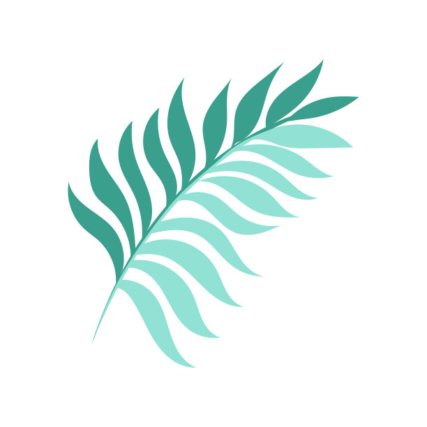 优雅的绿枝。轮廓的叶子。向量孤立的元素。园林植物。图片下载