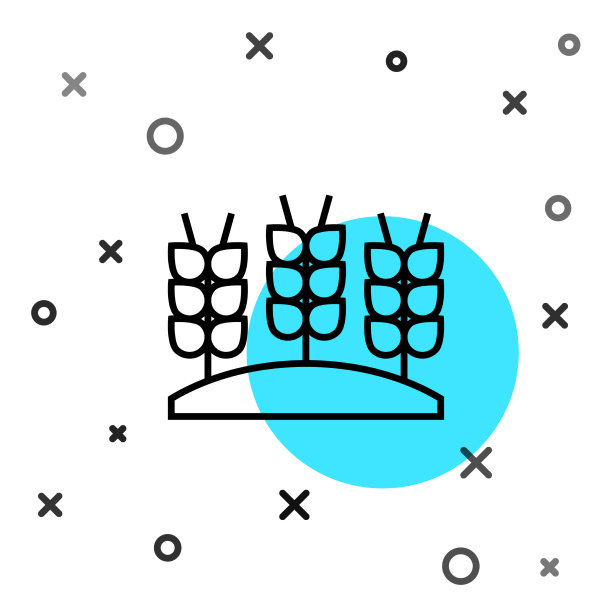 黑线谷物与水稻、小麦、玉米配套图片下载