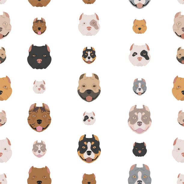 美国霸凌犬集颜色品种各异图片下载