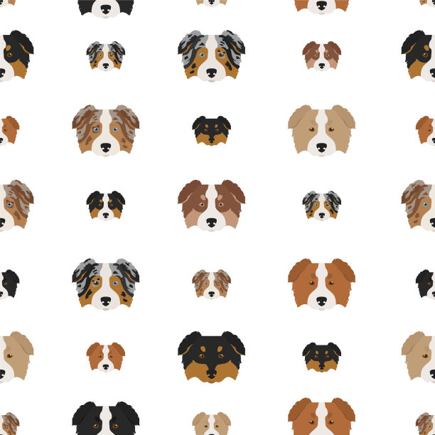 澳洲牧羊犬无缝图案图片下载