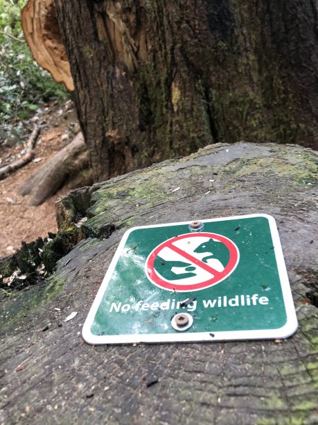 禁止喂养野生动物的森林标志图片下载